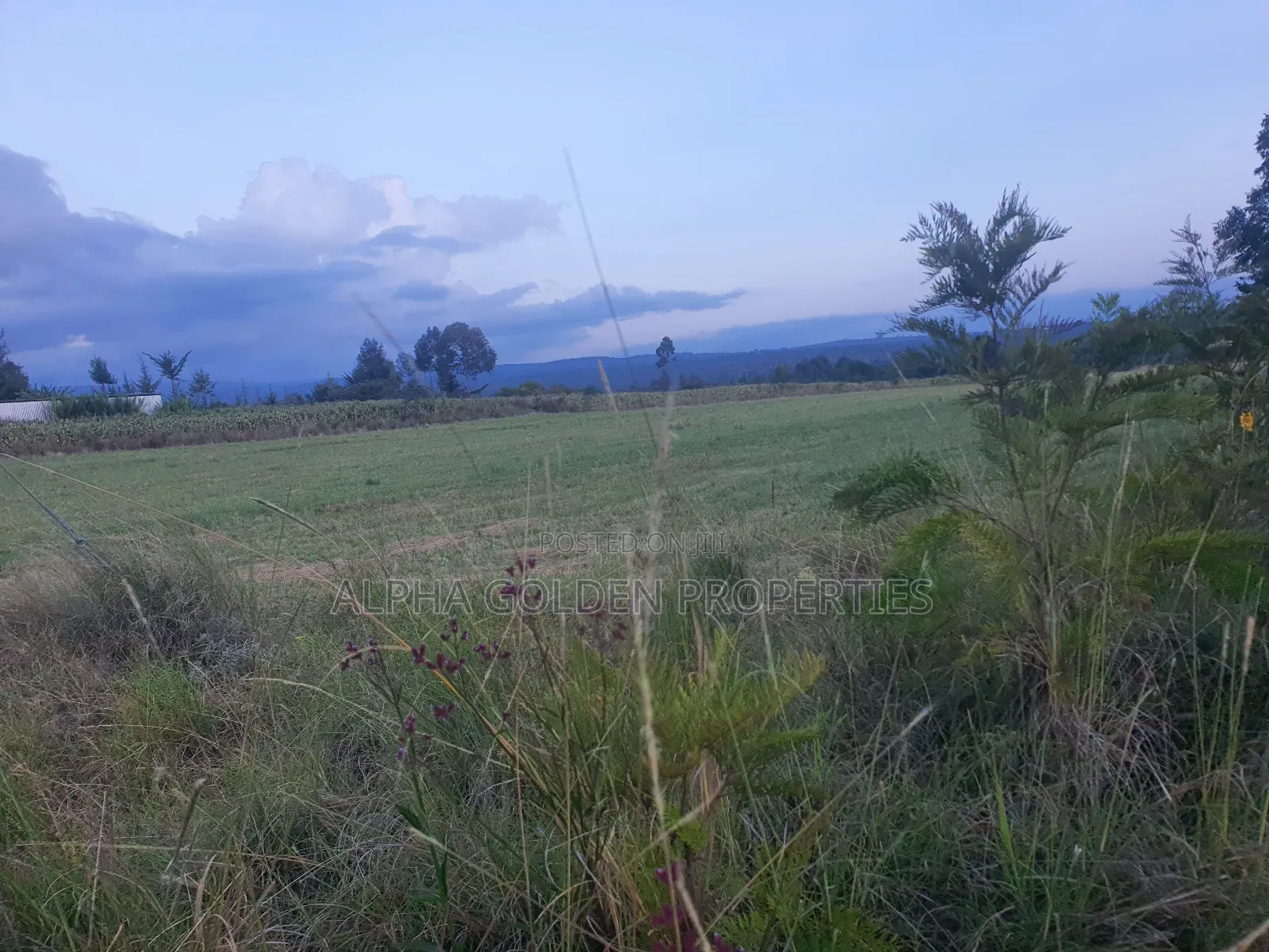 3 Acres in Nanyuki Ragati in Nanyuki