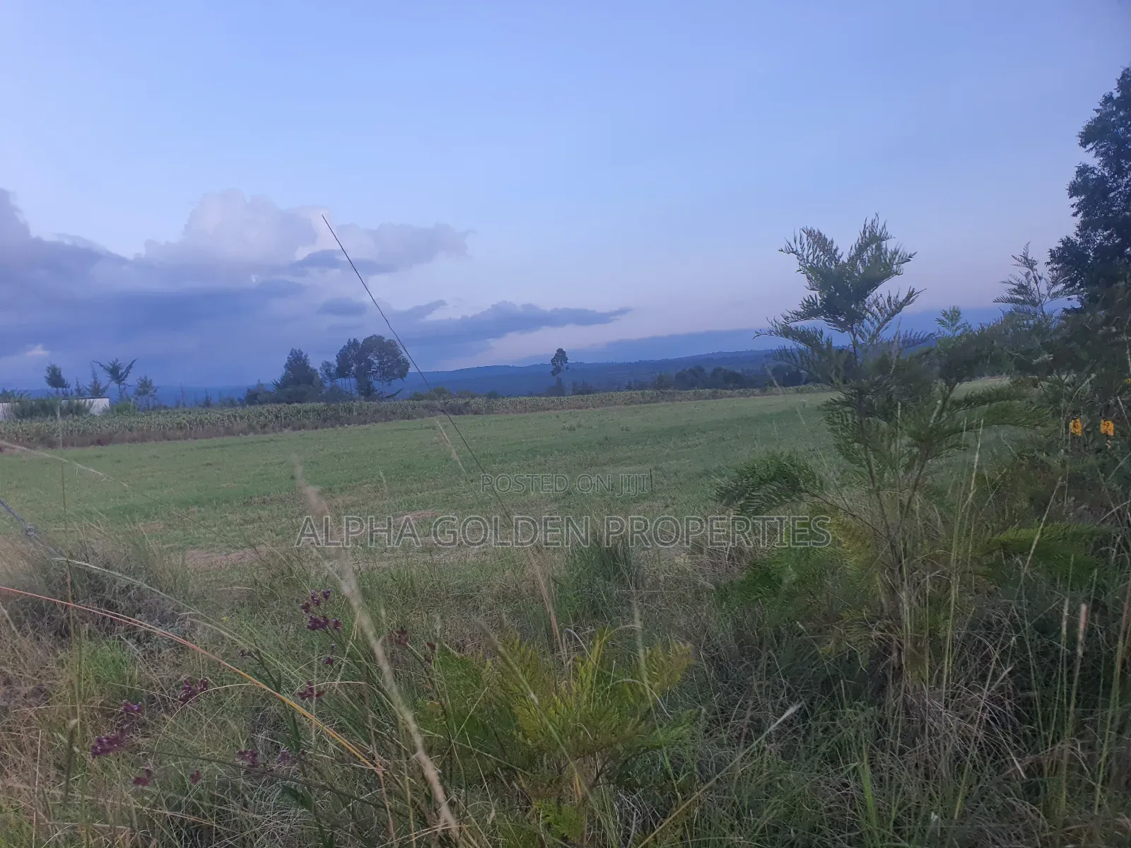 3 Acres in Nanyuki Ragati in Nanyuki