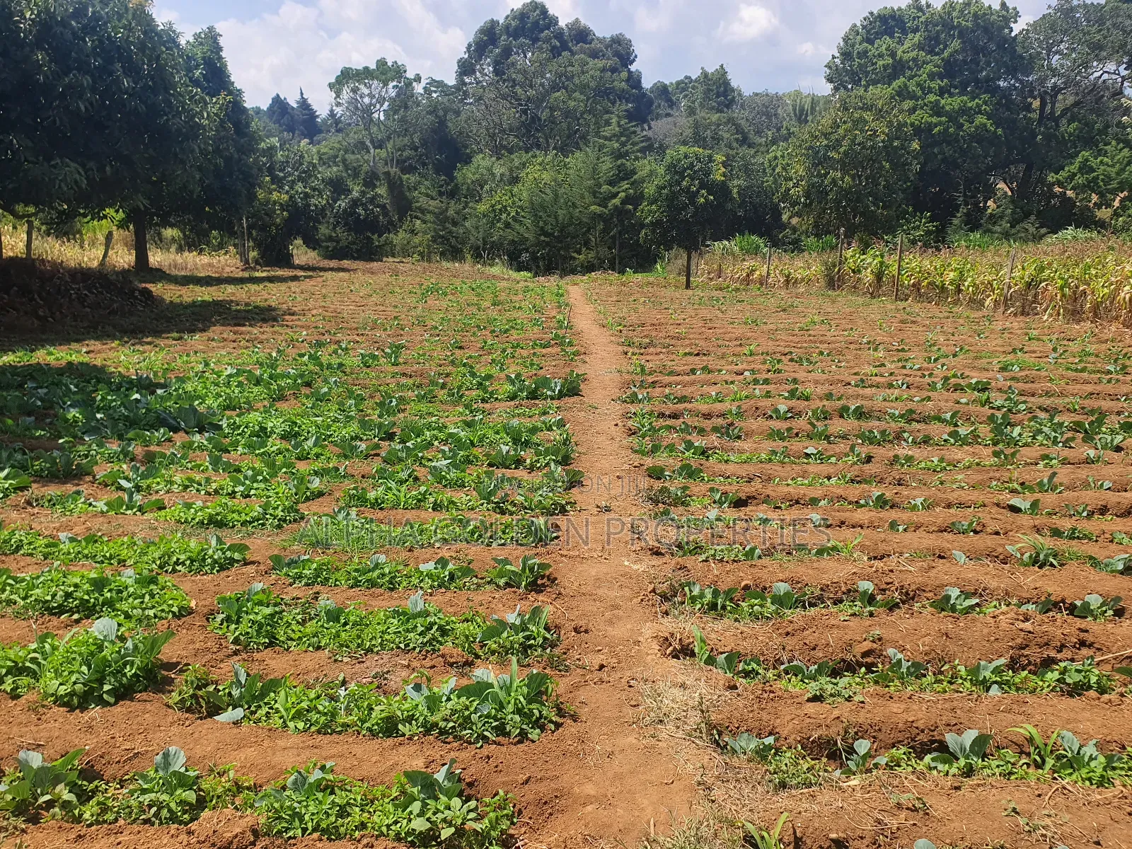 Narumoru 1 Acre With River Frontage in Nanyuki