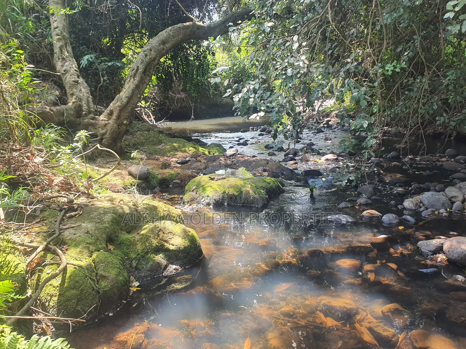 Narumoru 1 Acre With River Frontage in Nanyuki