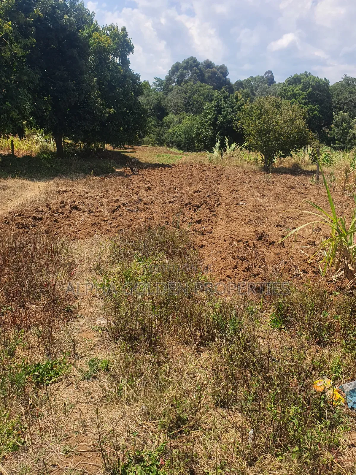Narumoru 1 Acre With River Frontage in Nanyuki