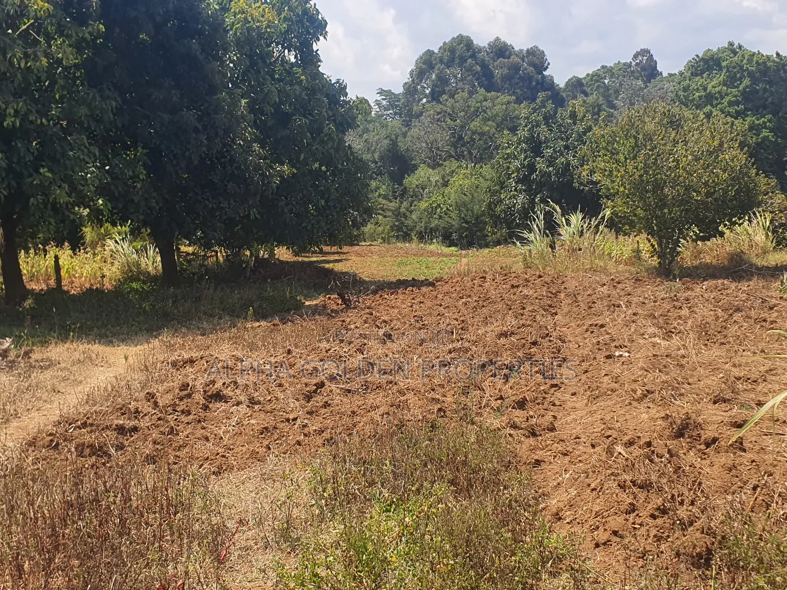 Narumoru 1 Acre With River Frontage in Nanyuki