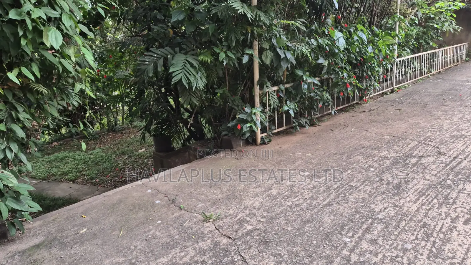 0.1359 Ha Prime Land for Sale-Parklands in Parklands/Highridge