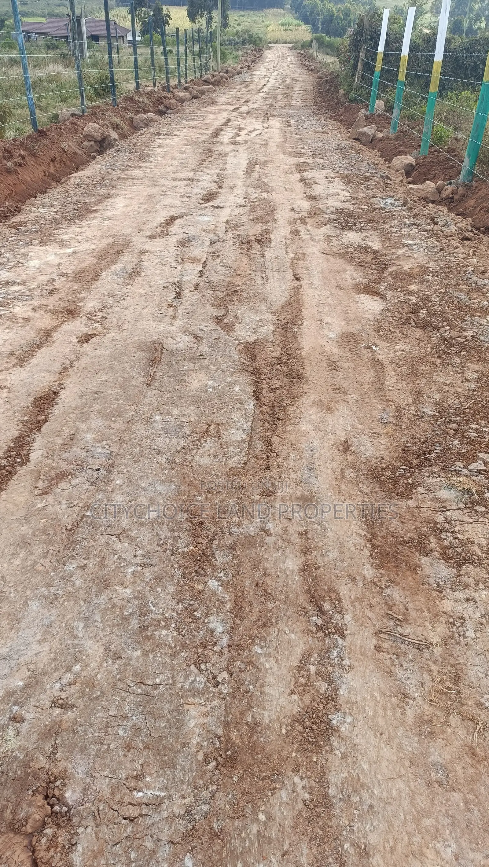 Affordable 50x100 Plots Near Nairobi – Golden Estate in Karai