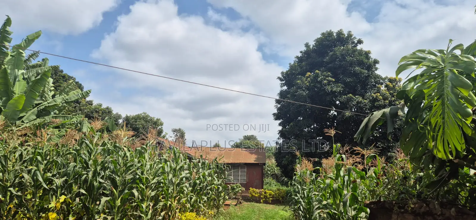 Prime 1⁄4-Acre Plot for Sale – Kabiria, Kes 15m in Kabiria