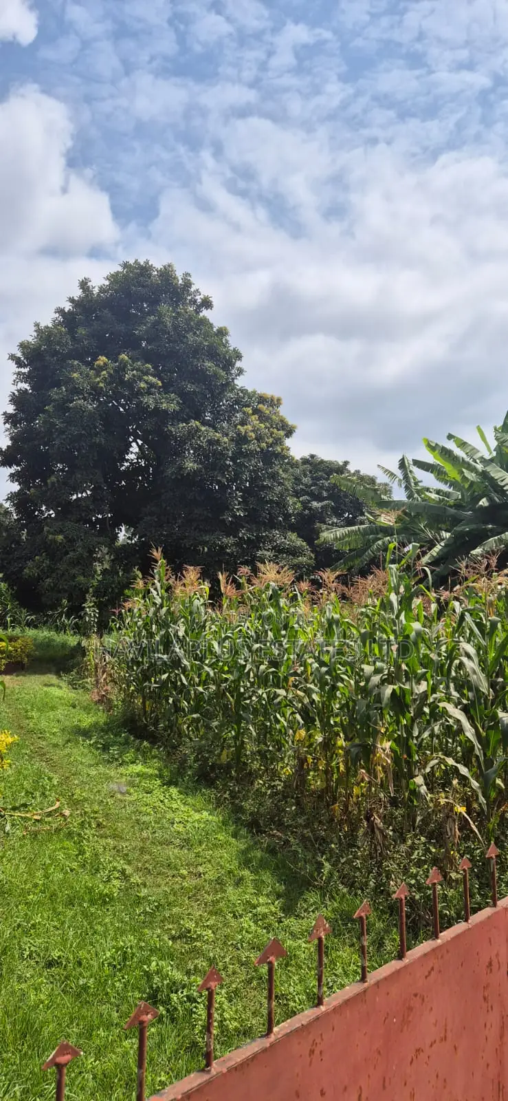 Prime 1⁄4-Acre Plot for Sale – Kabiria, Kes 15m in Kabiria