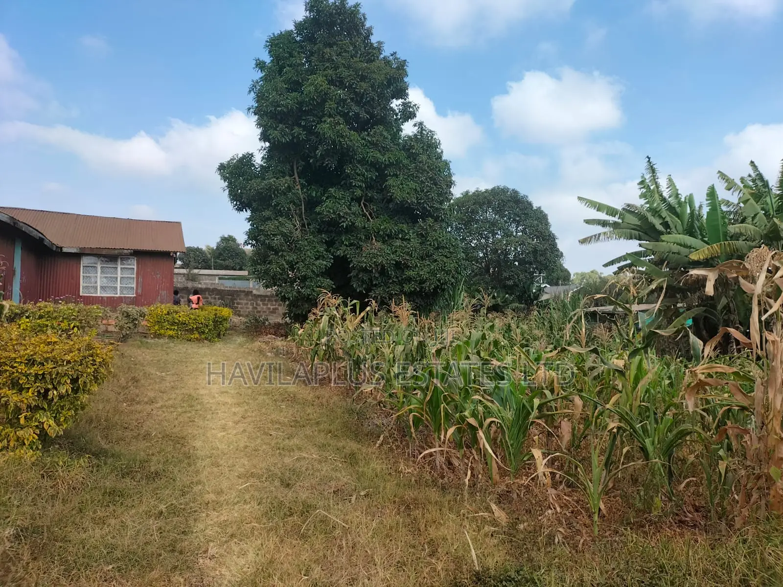 Prime 1⁄4-Acre Plot for Sale – Kabiria, Kes 15m in Kabiria