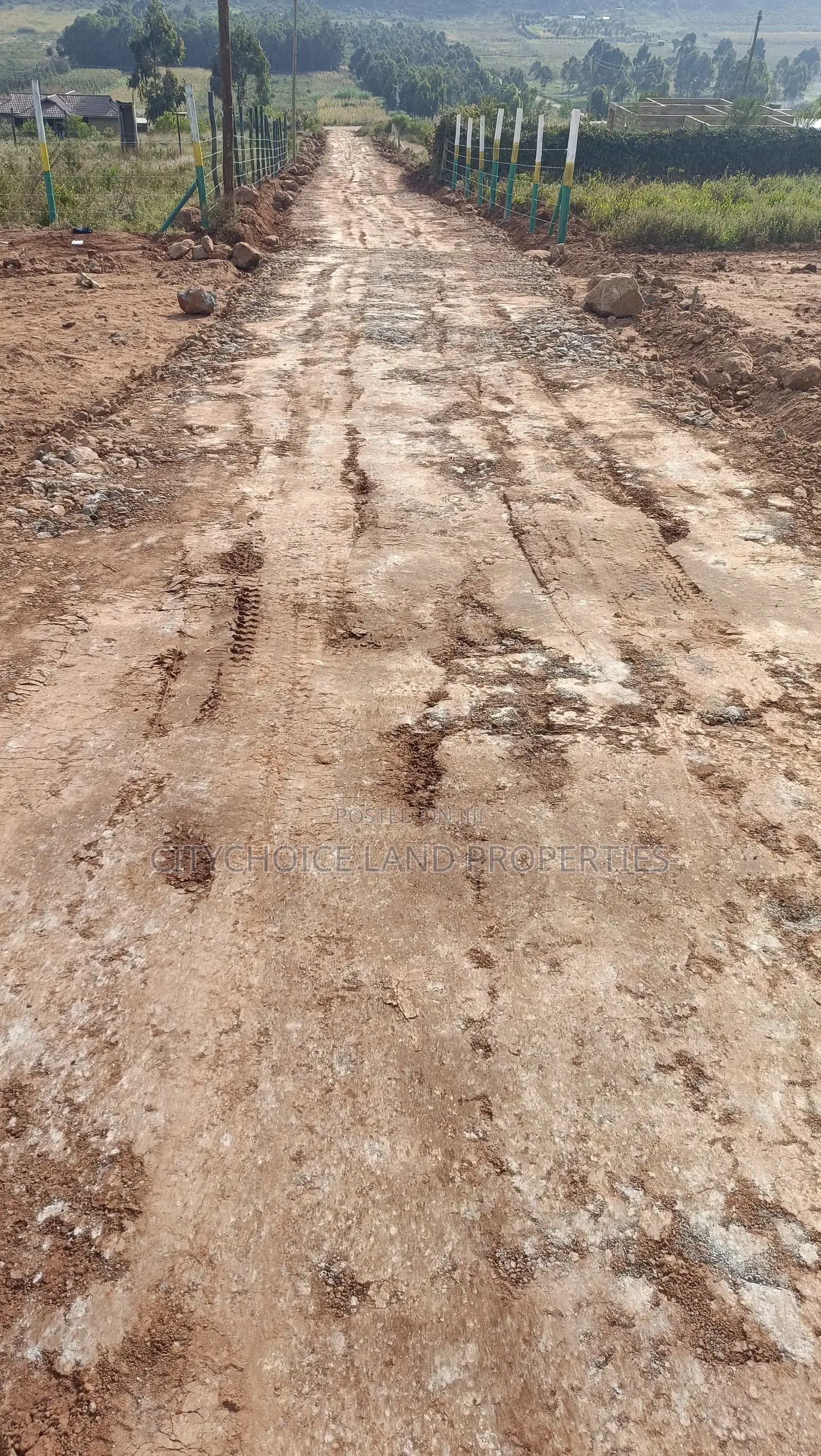 Affordable Prime 50x100 Plots in Kikuyu Ready Title Deeds in Karai