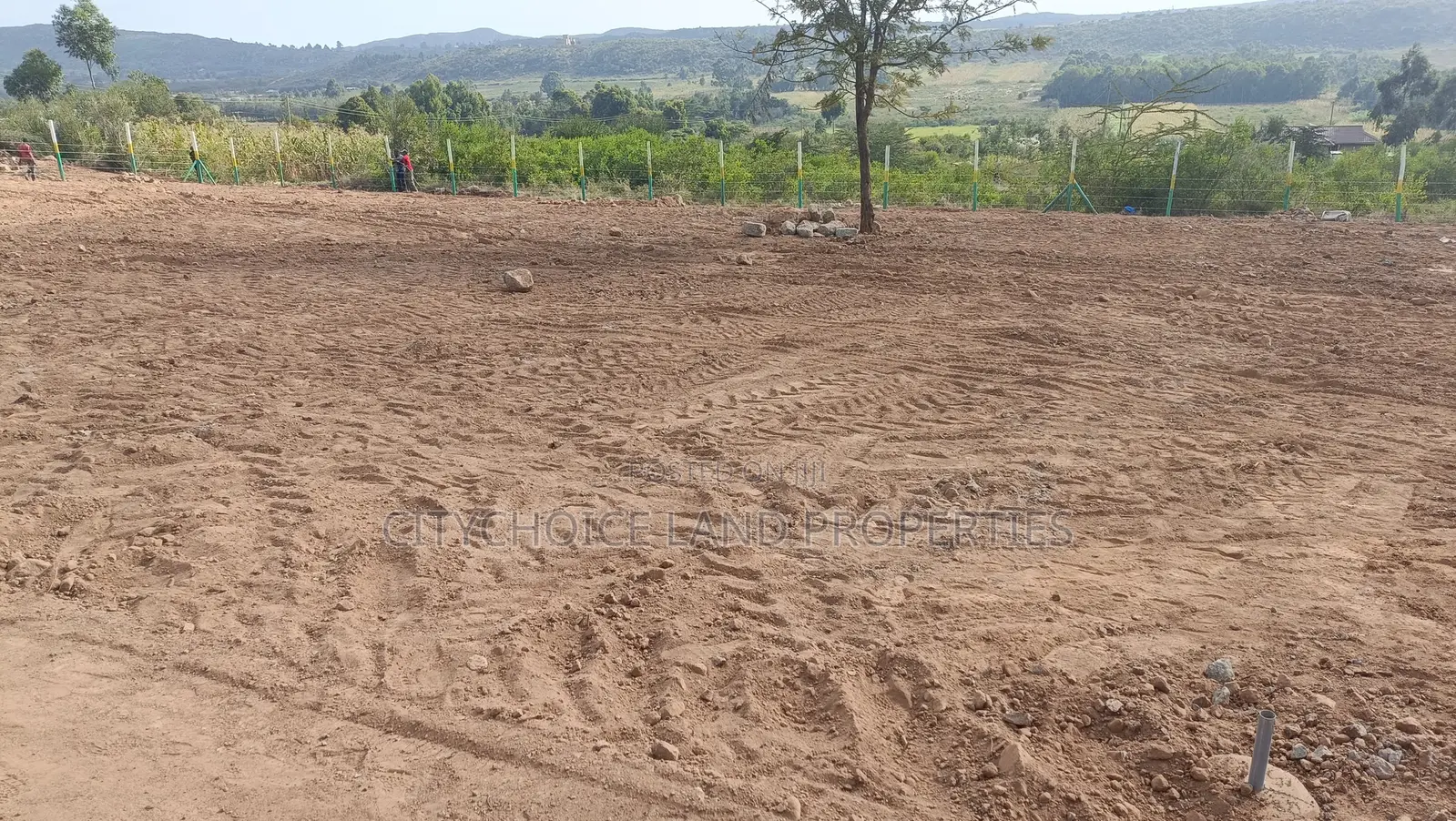 Prime Affordable 50x100 Plots in Kikuyu Secure Yours Today in Karai
