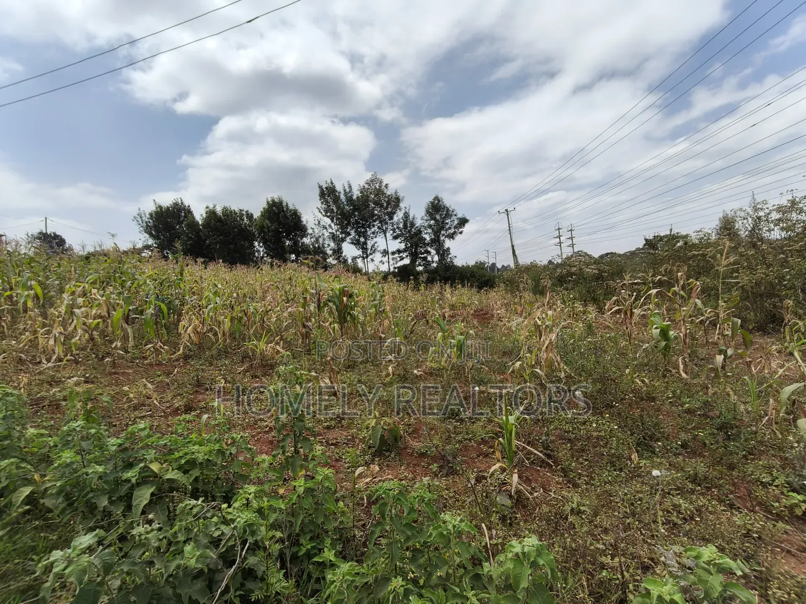 Half Acre Plot on Sale in Kibiku Touching Ngong-Suswa Road in Kibiku