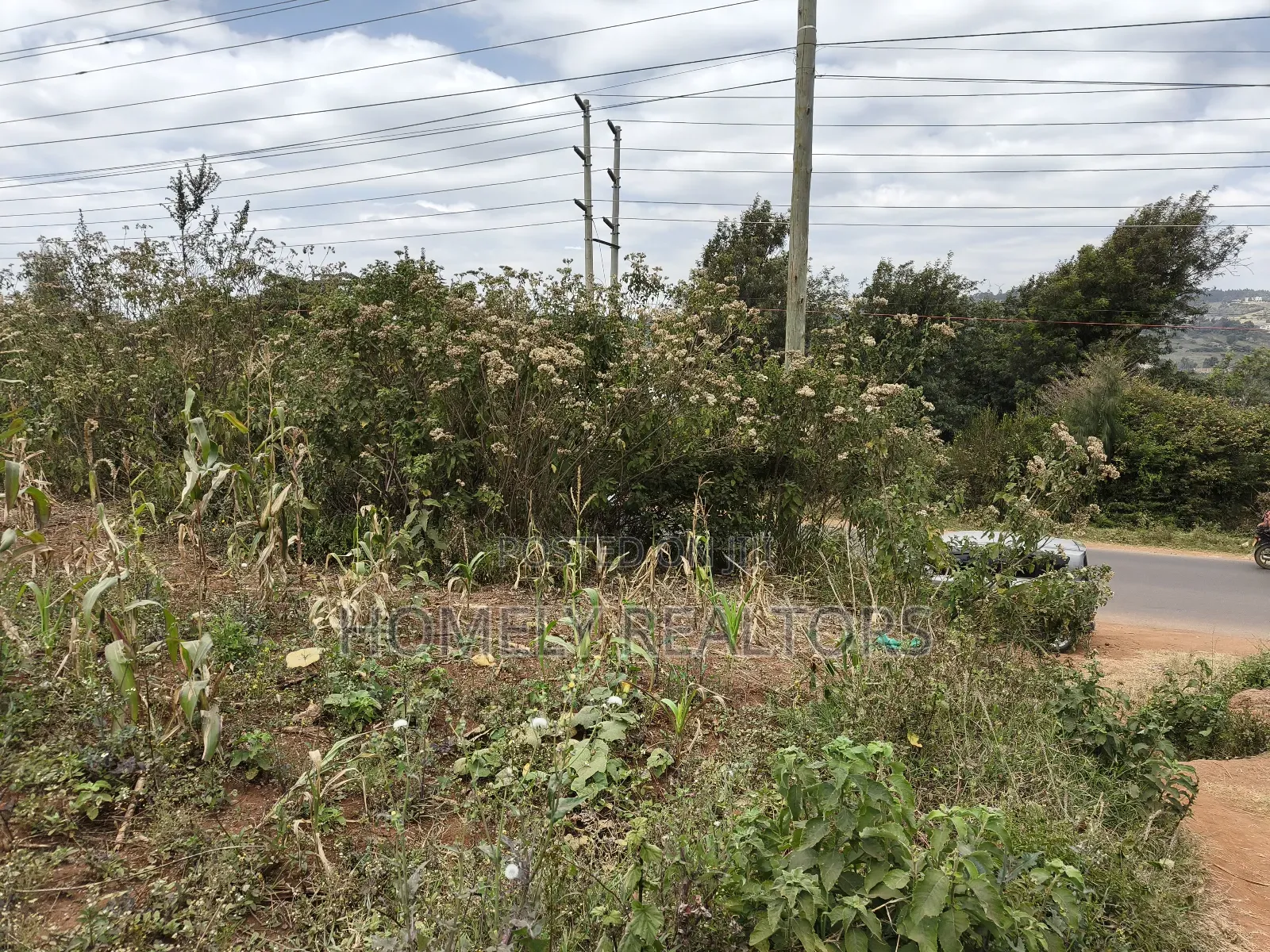 Half Acre Plot on Sale in Kibiku Touching Ngong-Suswa Road in Kibiku