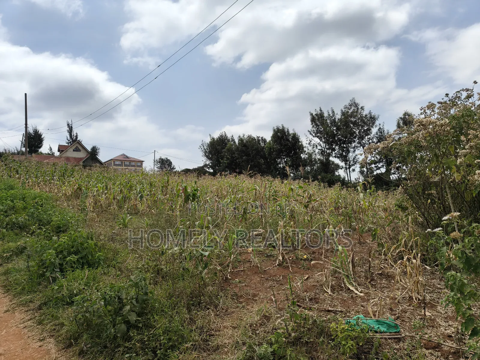 Half Acre Plot on Sale in Kibiku Touching Ngong-Suswa Road in Kibiku