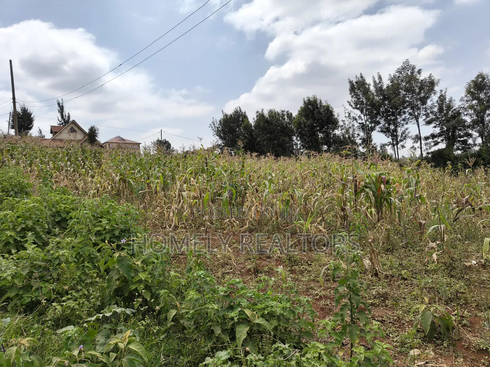 Half Acre Plot on Sale in Kibiku Touching Ngong-Suswa Road in Kibiku