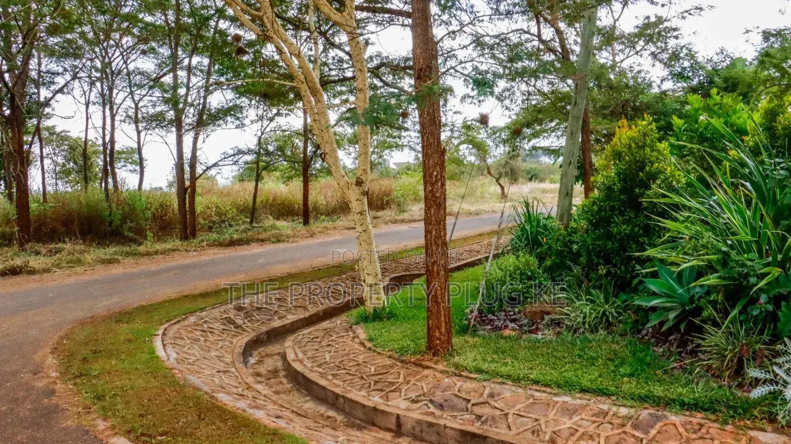 Prime Residential 1⁄4 Acre Plots for Sale in Thika Greens in Thika