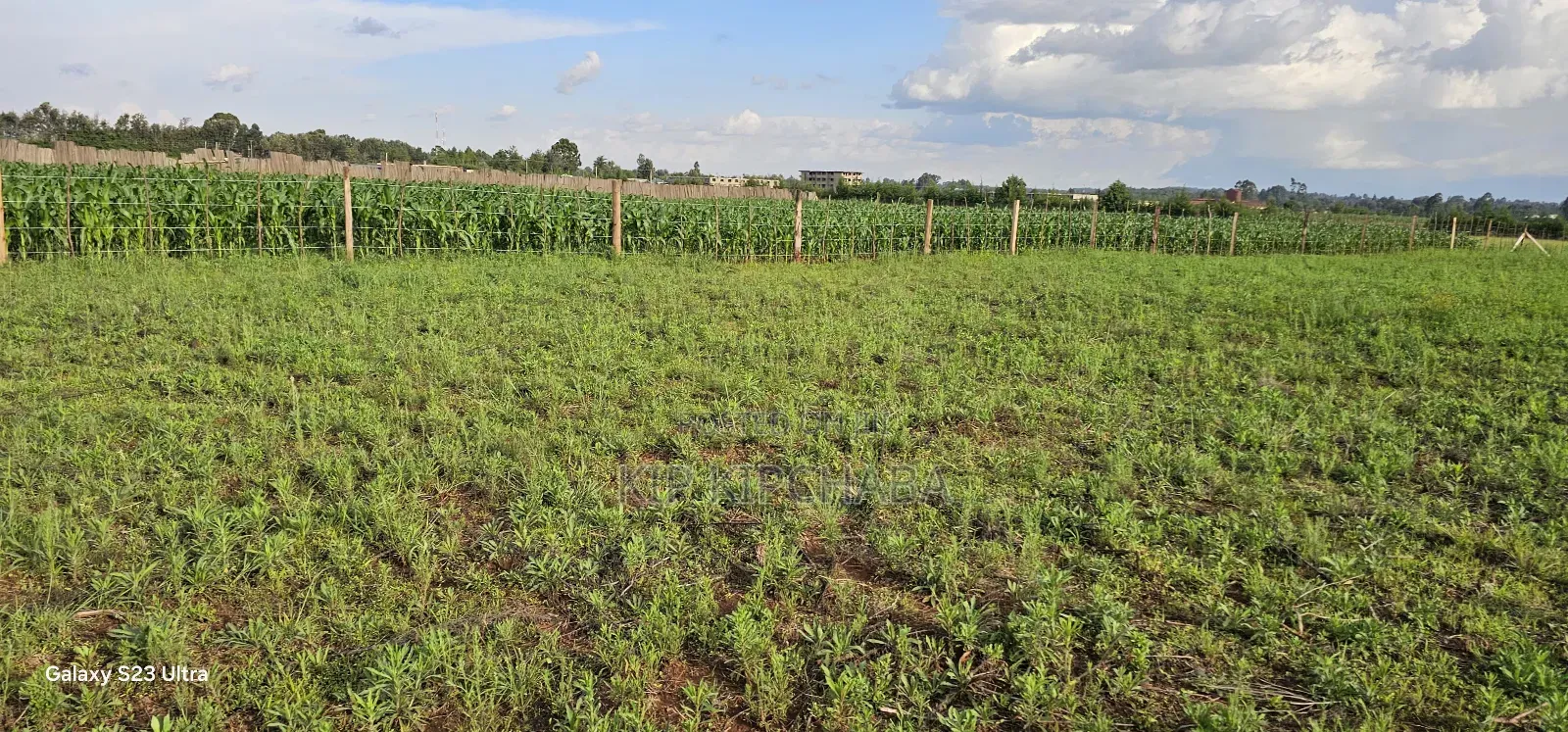 Commercial Plots for Sale in Marura Terra in Eldoret in Kimumu