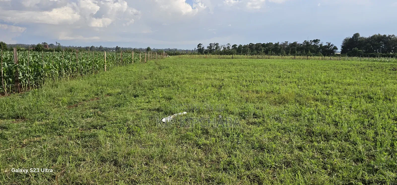 Commercial Plots for Sale in Marura Terra in Eldoret in Kimumu