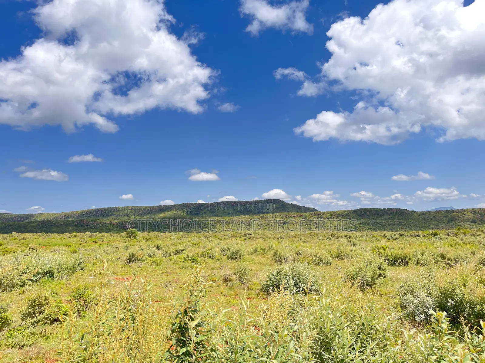 Affordable Plots for Sale in Nachu – Only KSH  in Karai