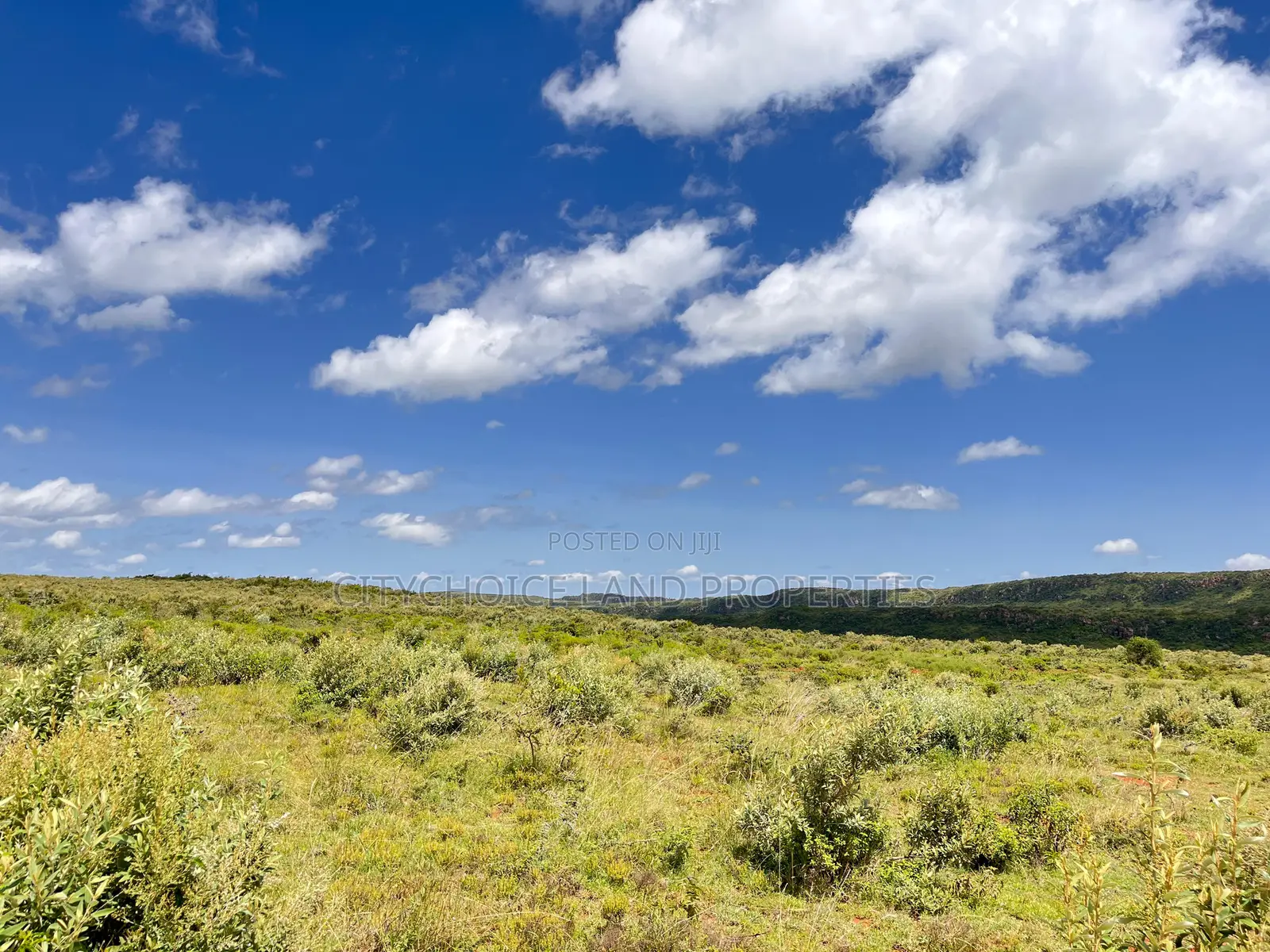 Affordable Plots for Sale in Nachu – Only KSH  in Karai
