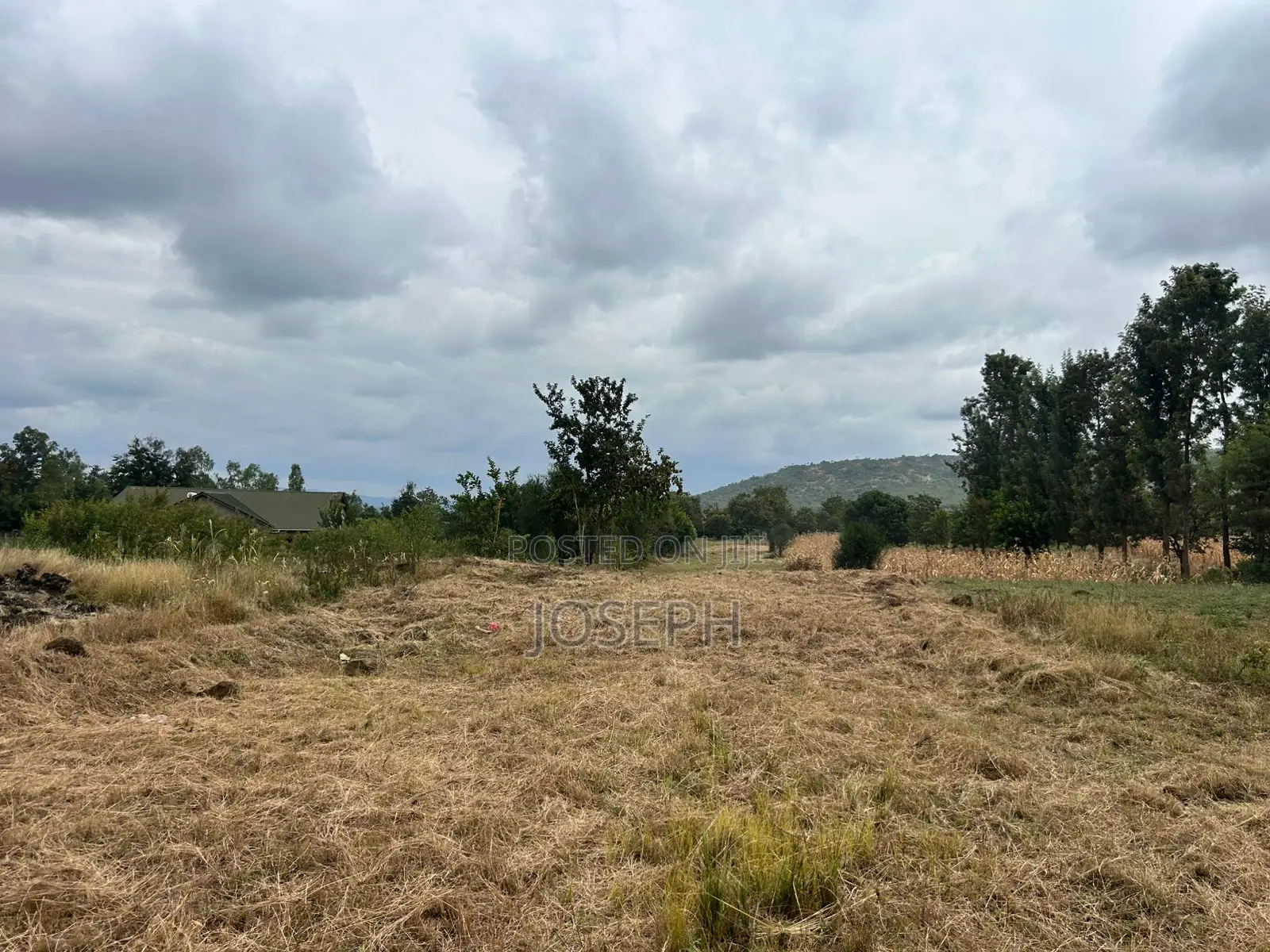 Sagana 1.1acre for Sale in Tebere
