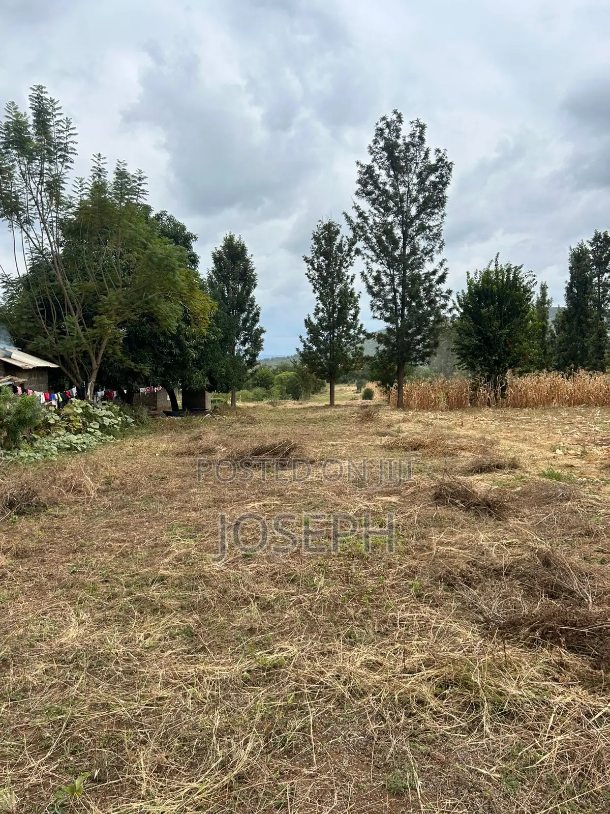 Sagana 1.1acre for Sale in Tebere