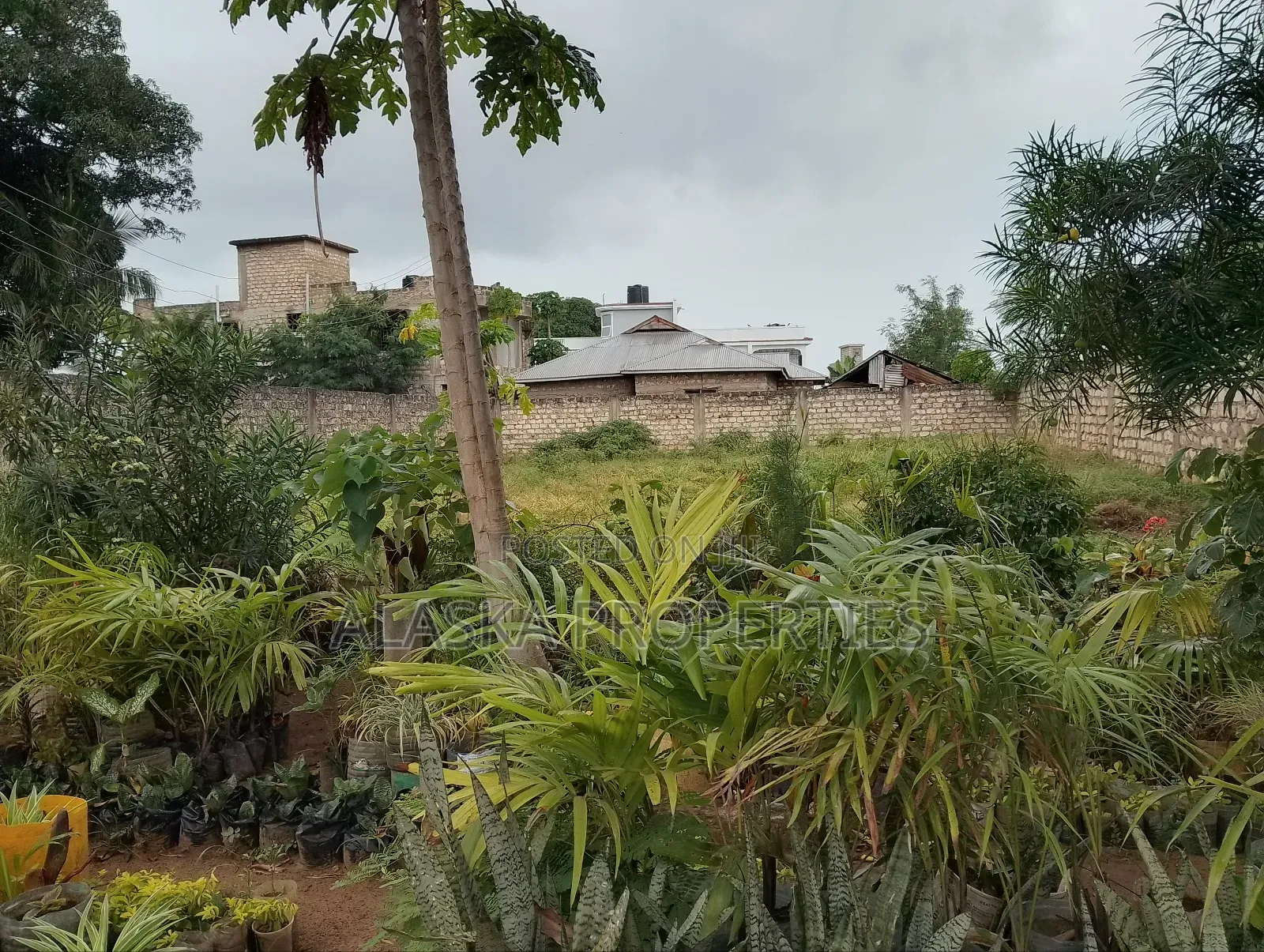1/4 Acre Prime Plot 4 Sale in Utange in Utange