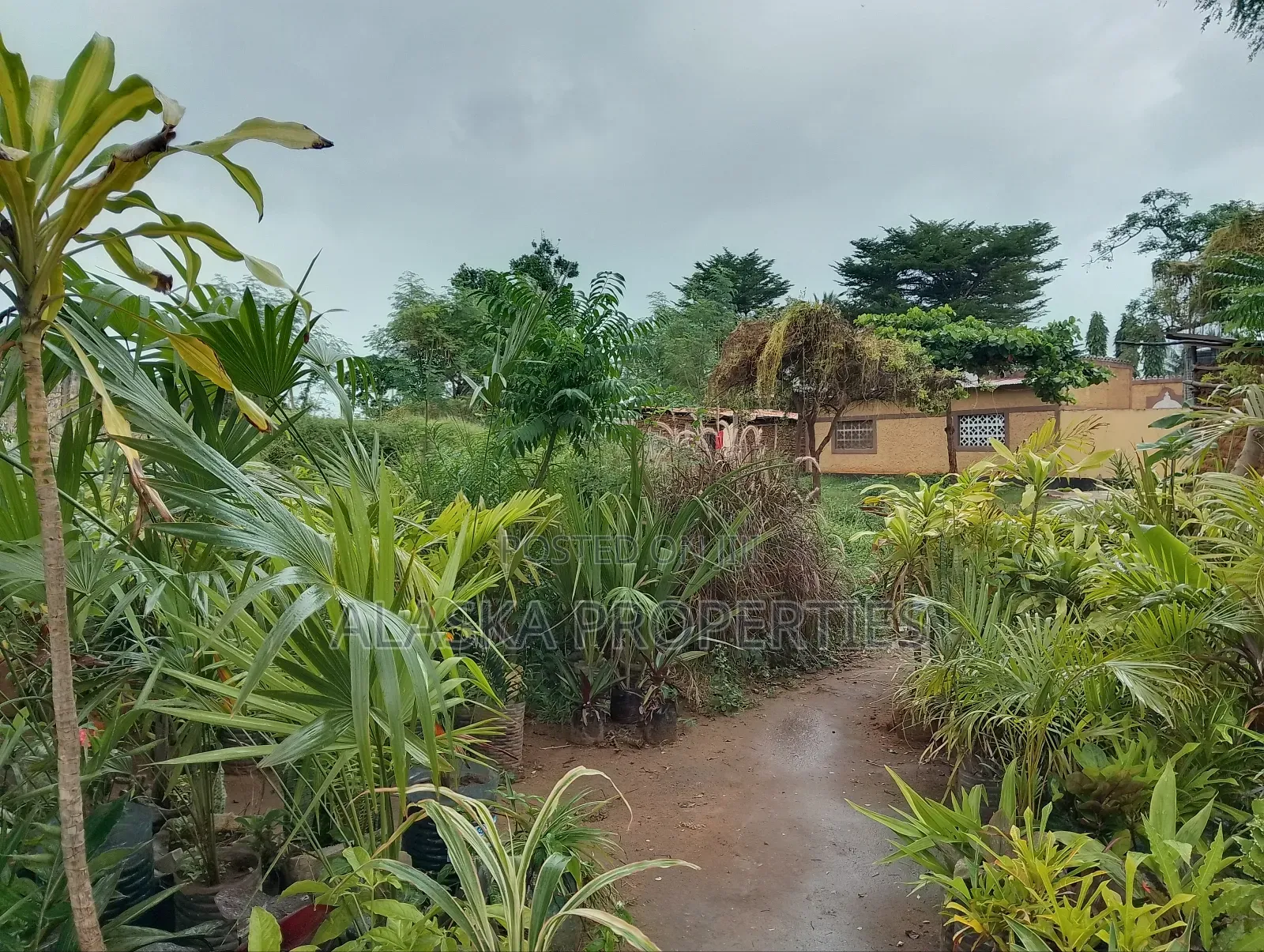 1/4 Acre Prime Plot 4 Sale in Utange in Utange