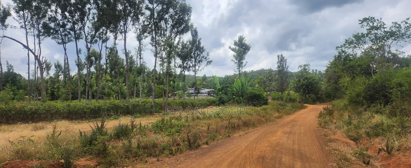 206 Acres in Kiamuringa Embu- County in Central Ward