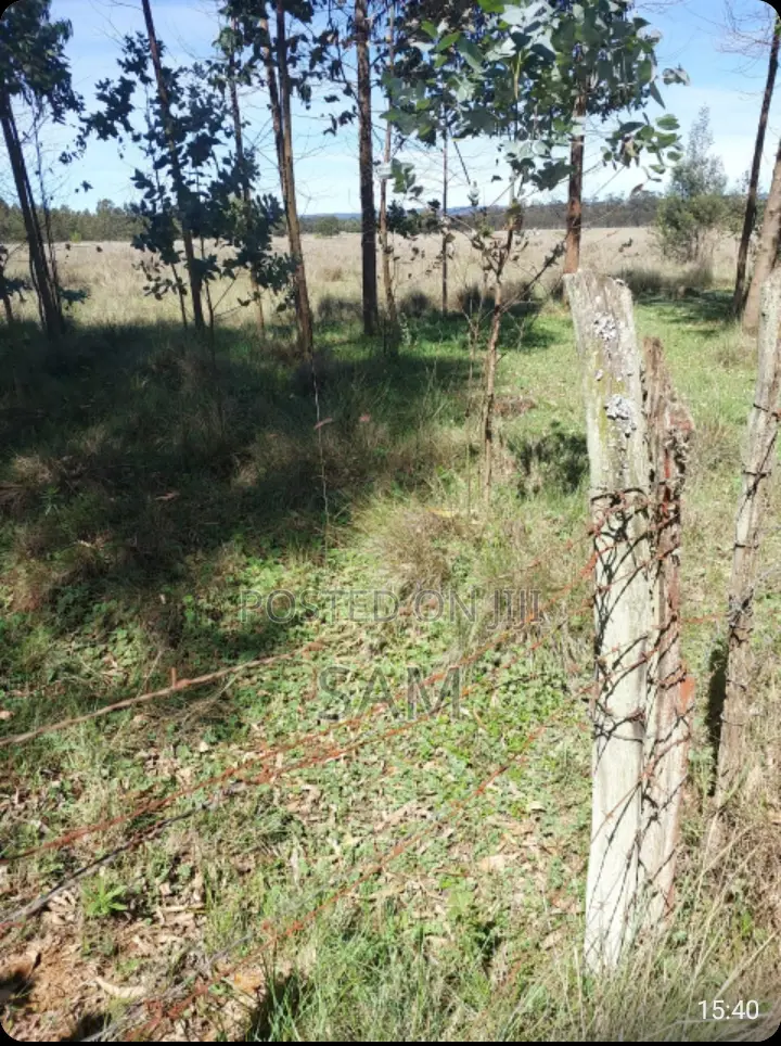 Prime 28ac (Ol Joro Orok) in Weru