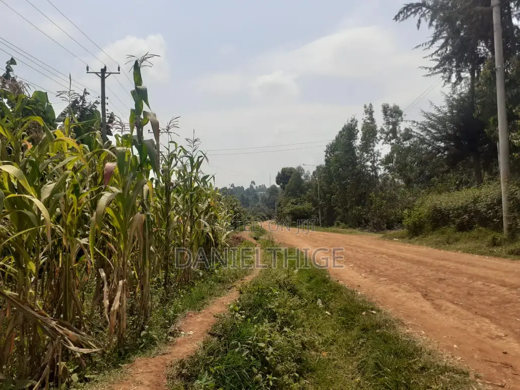 Eighth Acre Plot on Sale in Nguriunditu Nderi Sigona Kikuyu in Nderi
