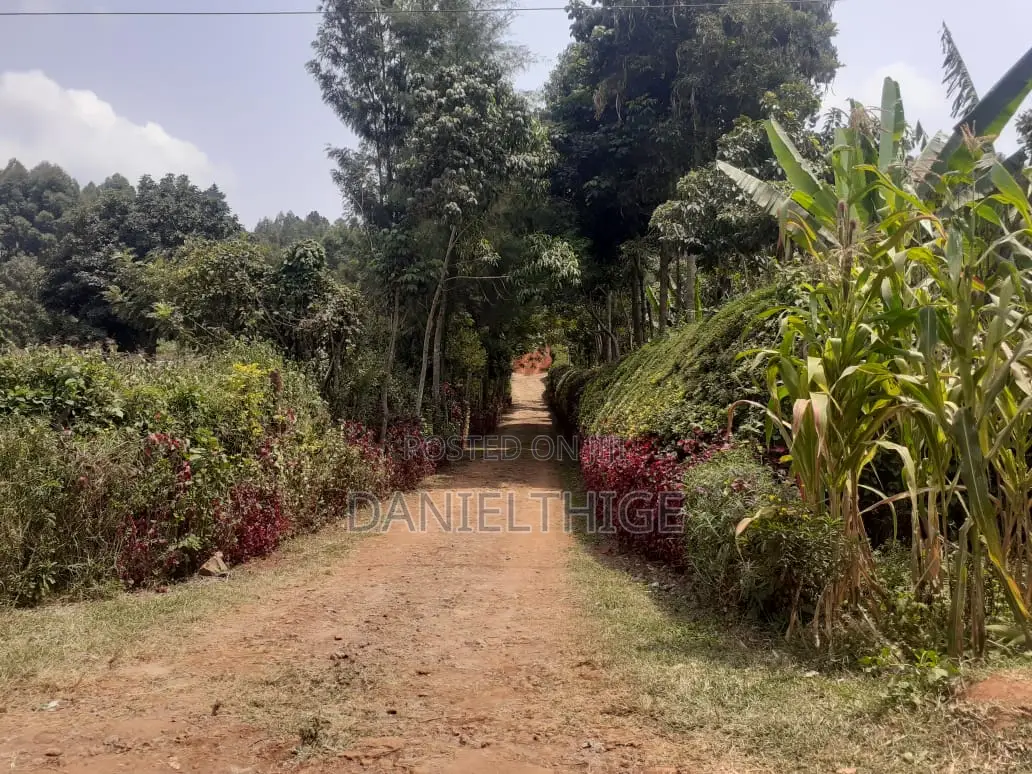 Eighth Acre Plot on Sale in Nguriunditu Nderi Sigona Kikuyu in Nderi