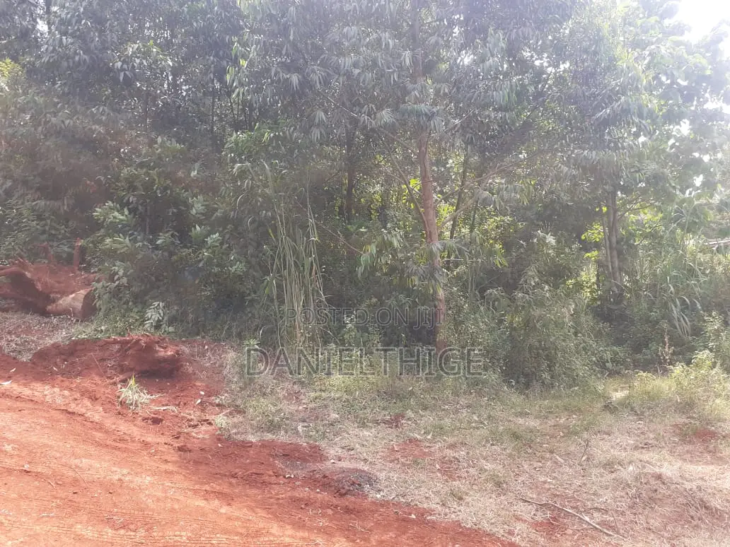 Eighth Acre Plot on Sale in Nguriunditu Nderi Sigona Kikuyu in Nderi