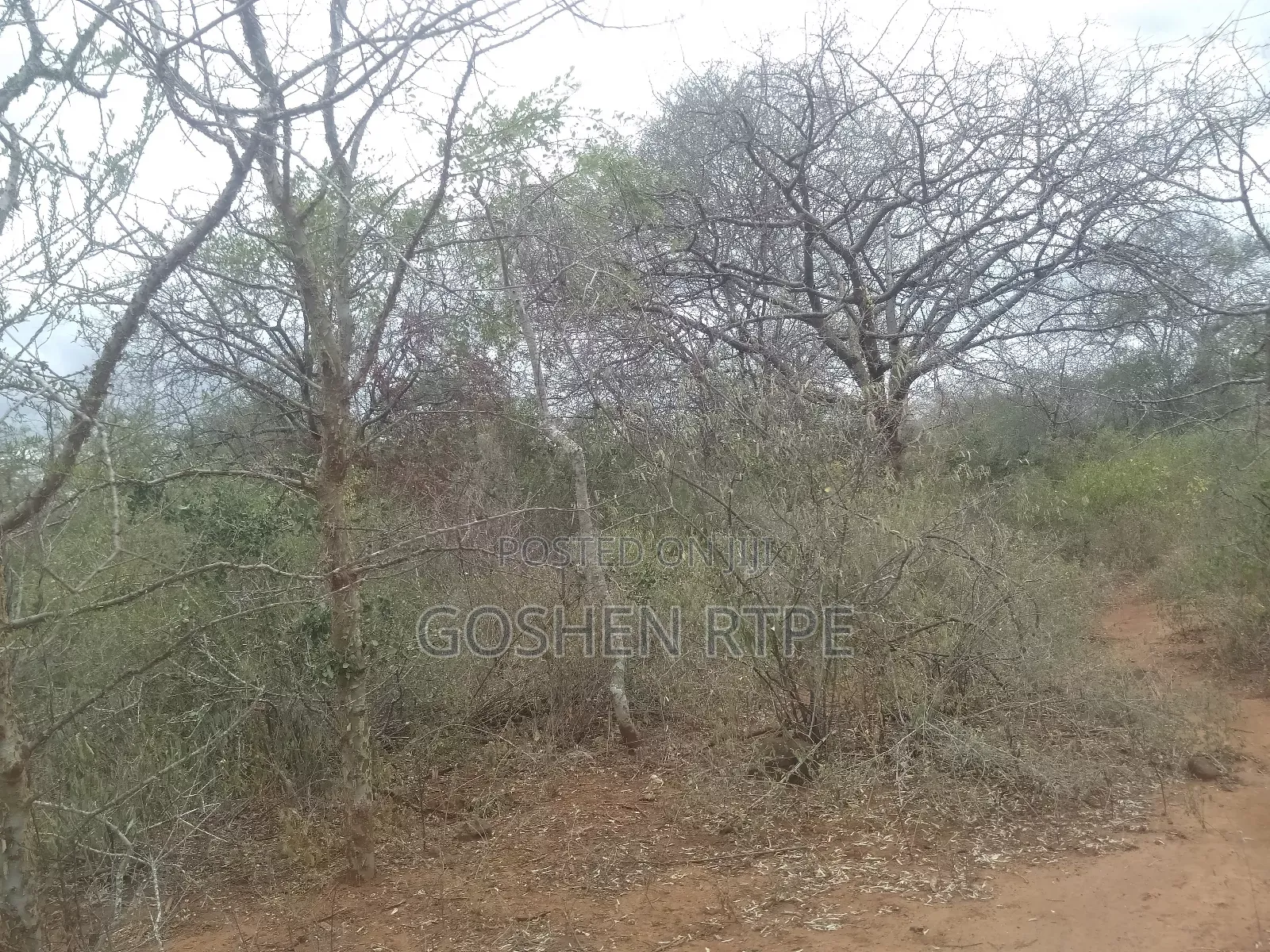 Prime 581 Acres at /Ac on Sale at Athi Town Ikutha Kitui in Athi