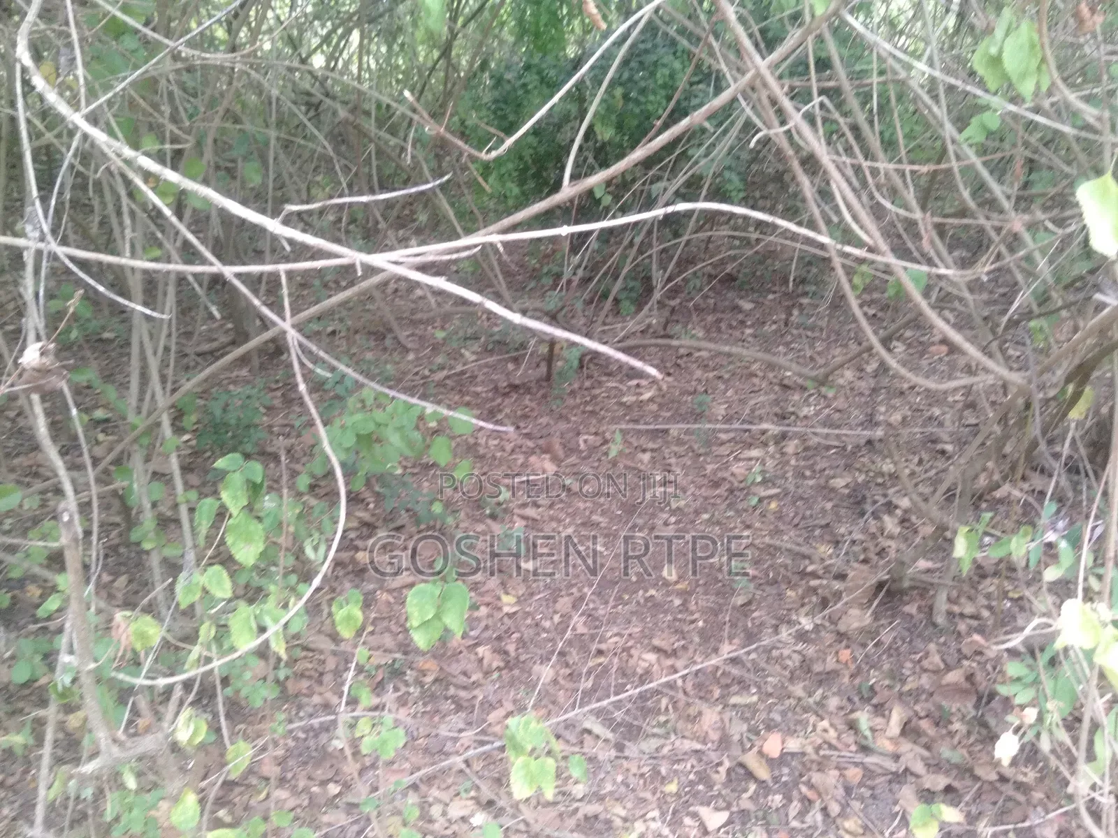 Prime Virgin 581 Acres at /Ac on Sale at Athi Town Ikutha Kitui in Athi