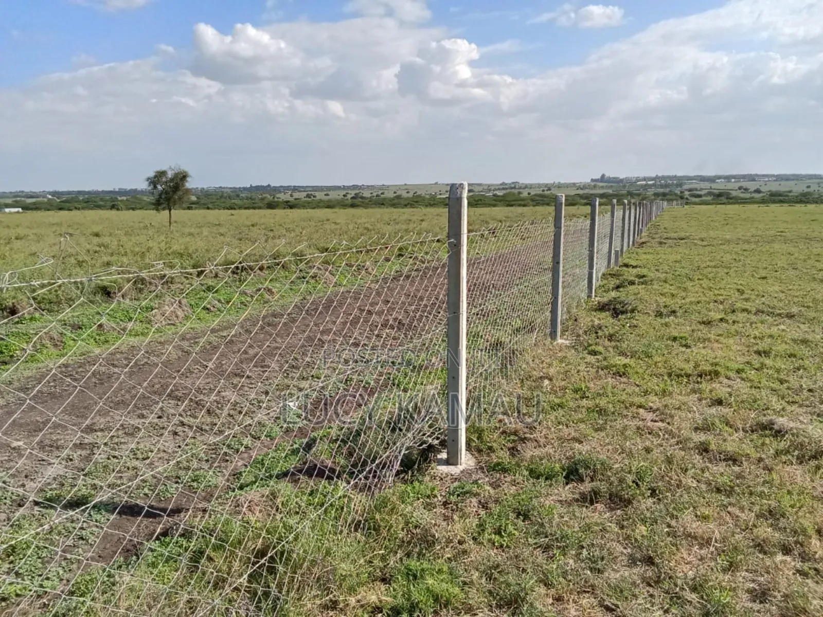 1⁄8 Acre Prime Plots in Kisaju From KSH 750,000 in Kitengela