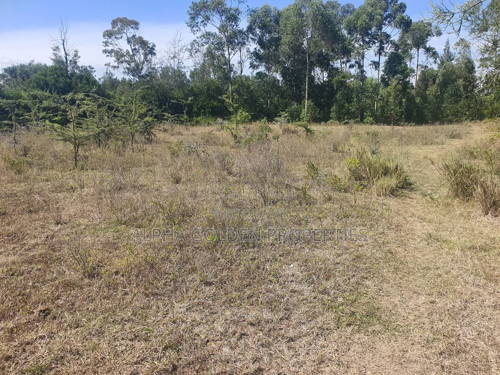 100/100 Plots Nanyuki in Nanyuki