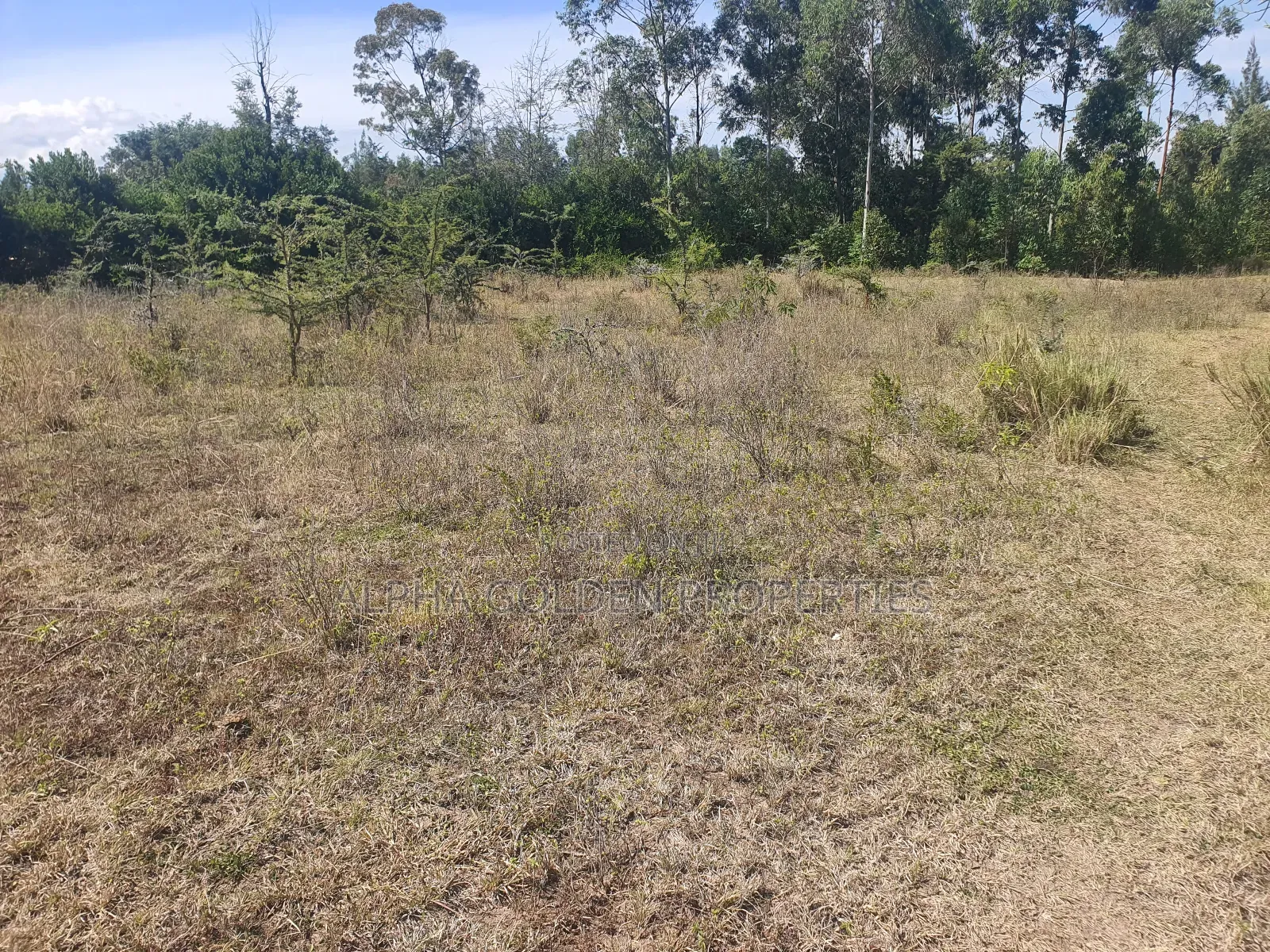 100/100 Plots Nanyuki in Nanyuki