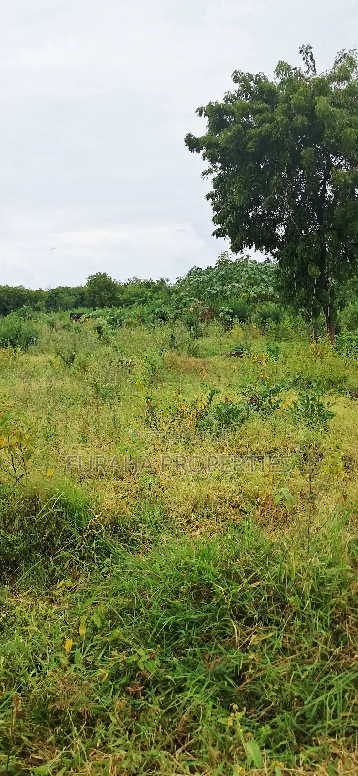 For Sale 4 Acre Prime Land Vipingo in Vipingo