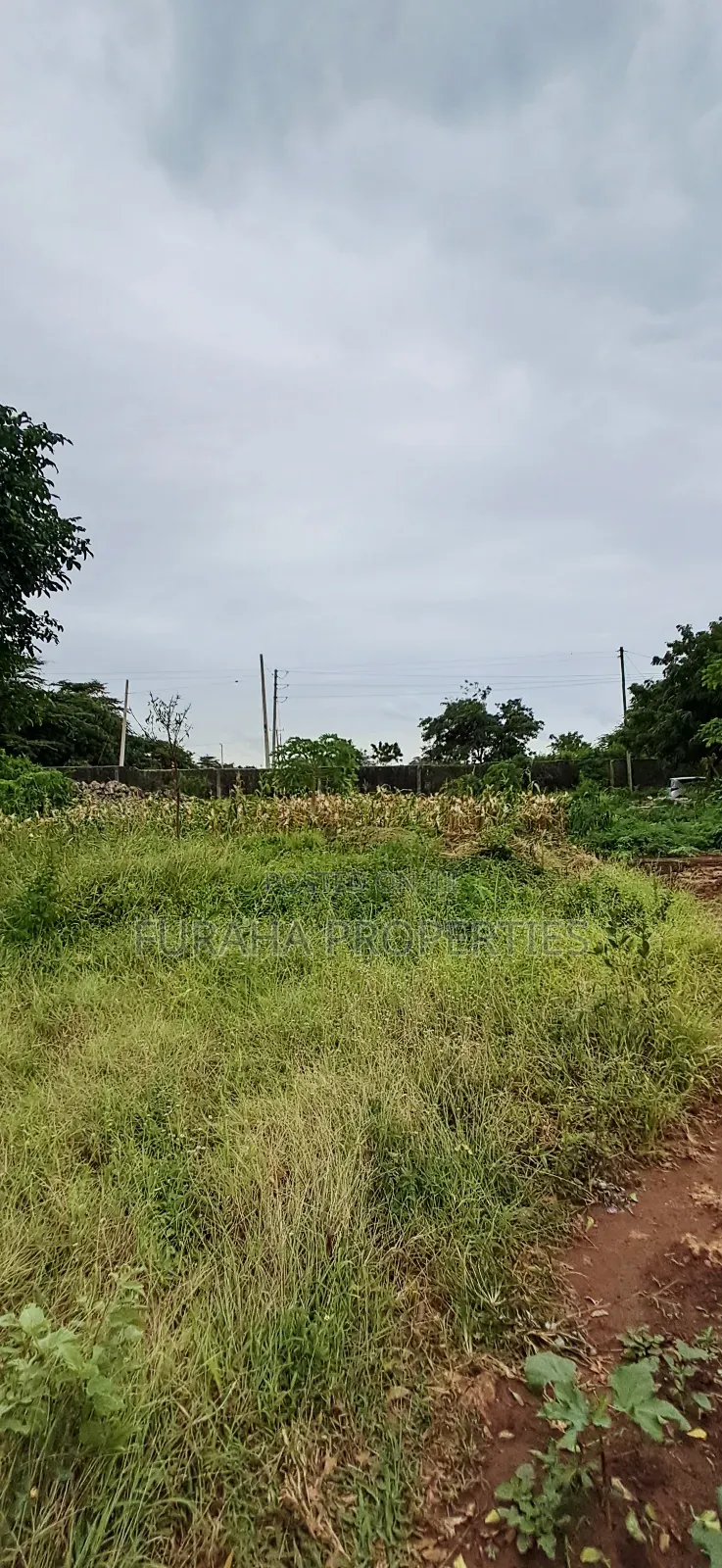 For Sale 4 Acre Prime Land Vipingo in Vipingo