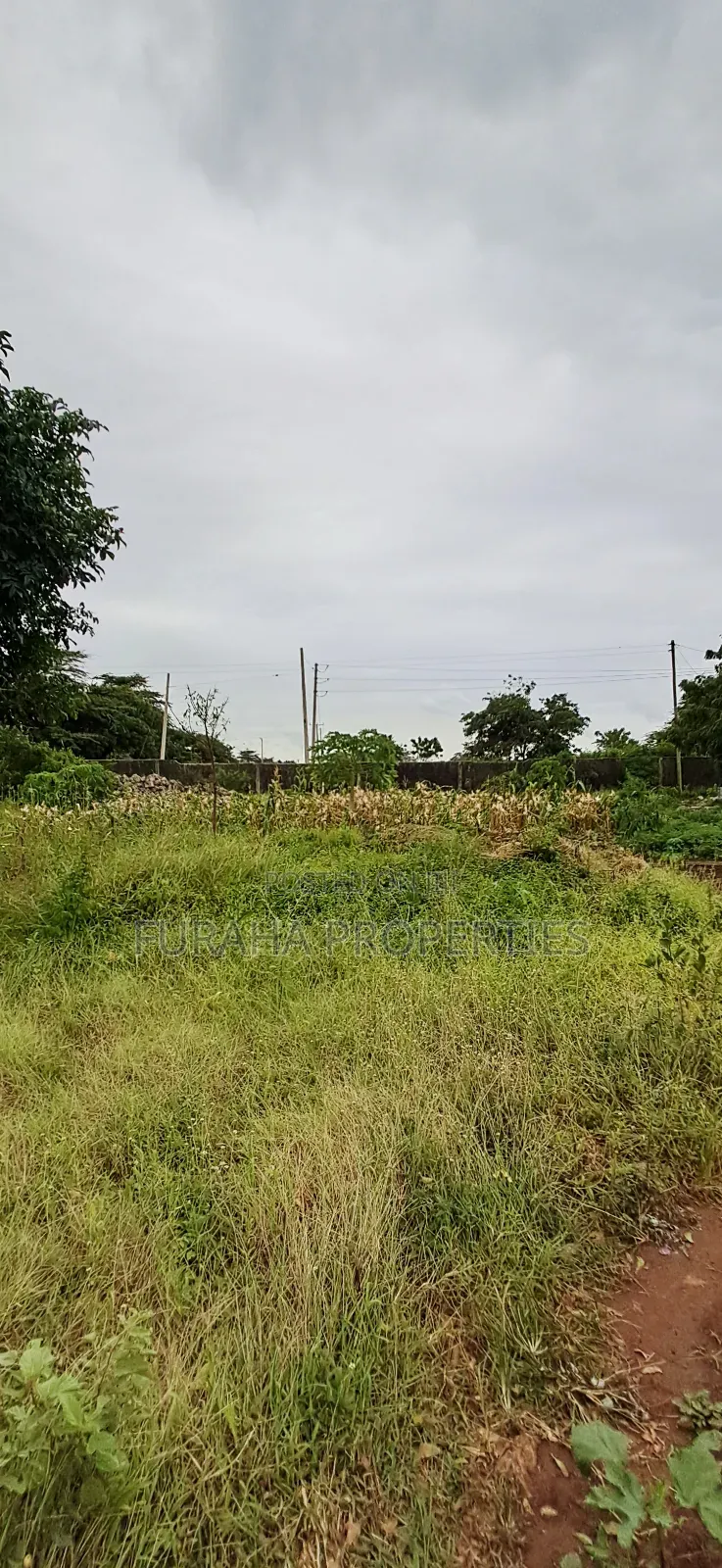 For Sale 4 Acre Prime Land Vipingo in Vipingo