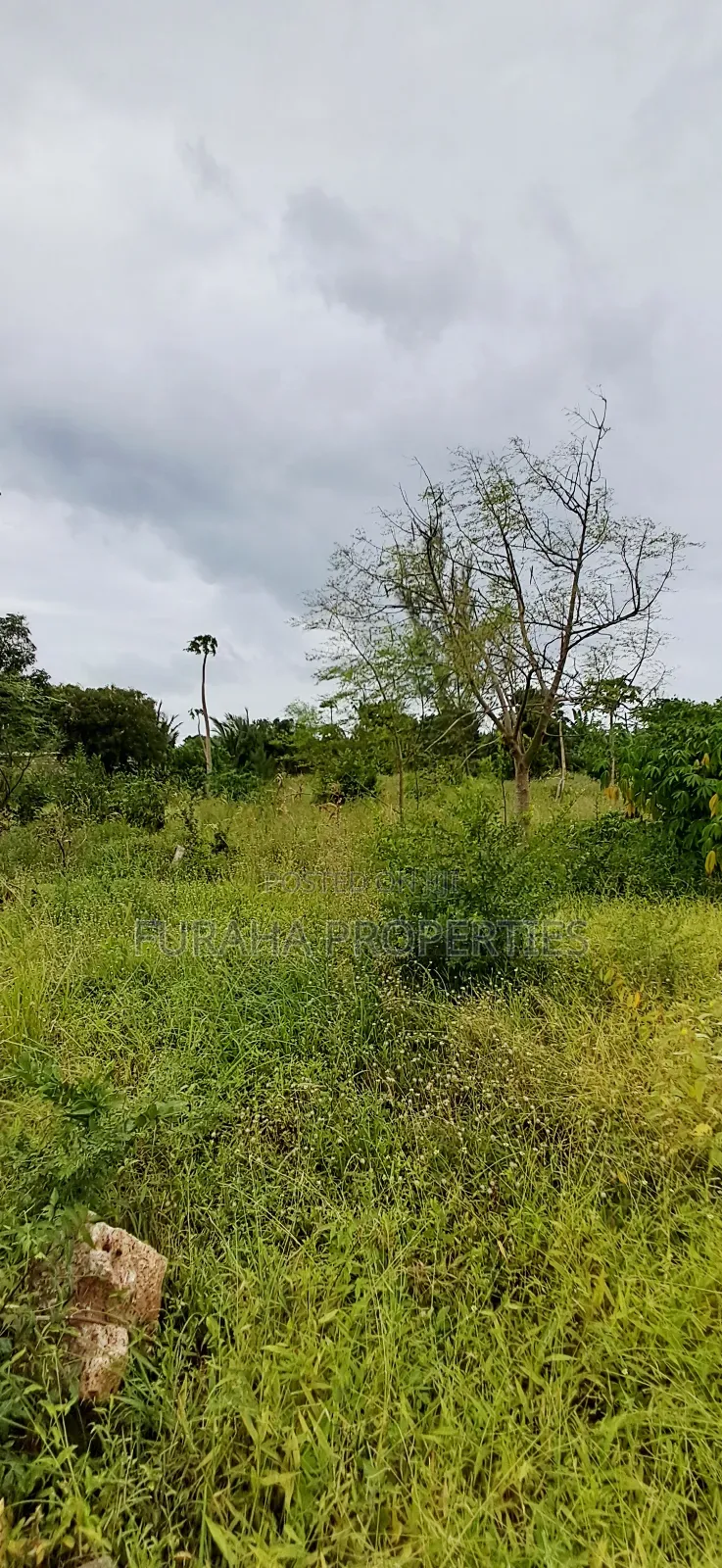 For Sale 4 Acre Prime Land Vipingo in Vipingo