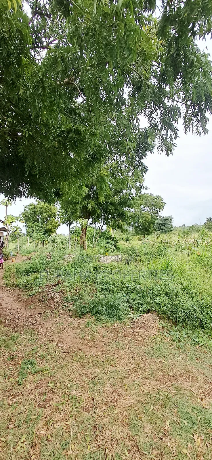 For Sale 4 Acre Prime Land Vipingo in Vipingo