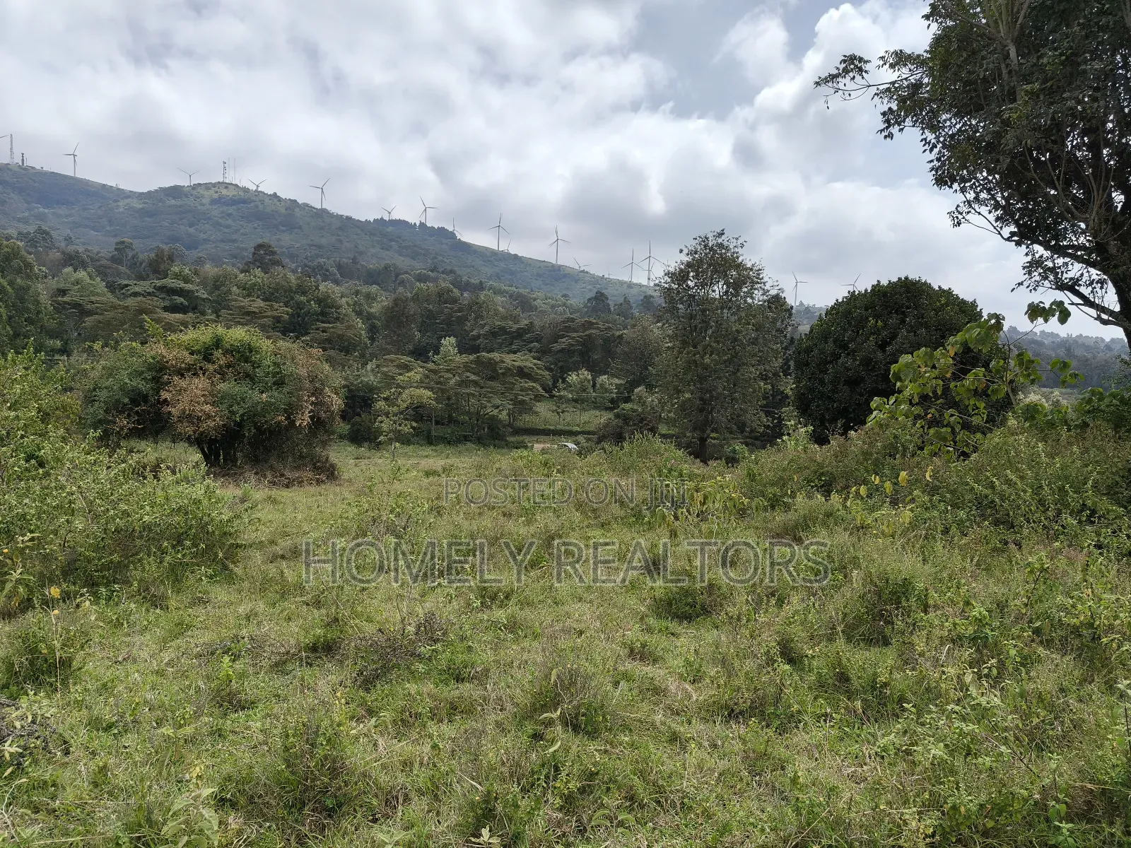 Half Acre Plot in Ngong Nalepo, Kahara Road With Scenic View in Ngong