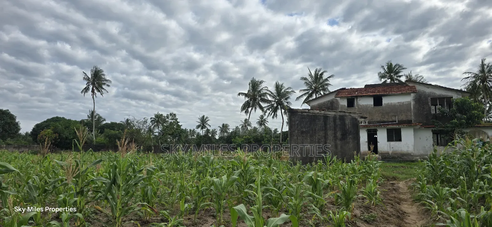 6-Acre Parcel for Sale – Bomani, Kilifi County in Kikambala