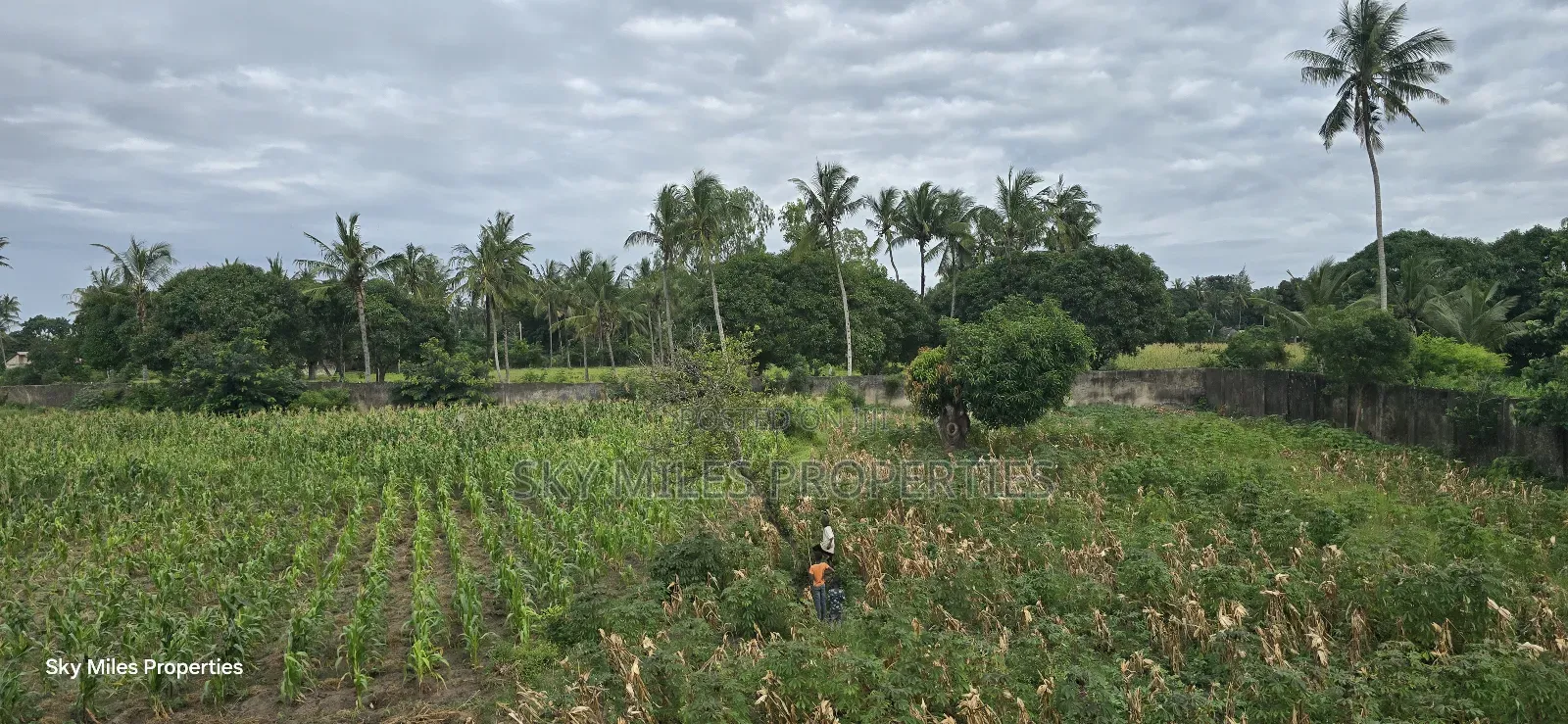 6-Acre Parcel for Sale – Bomani, Kilifi County in Kikambala