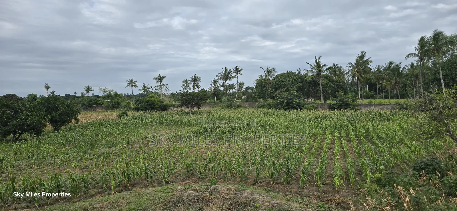 6-Acre Parcel for Sale – Bomani, Kilifi County in Kikambala