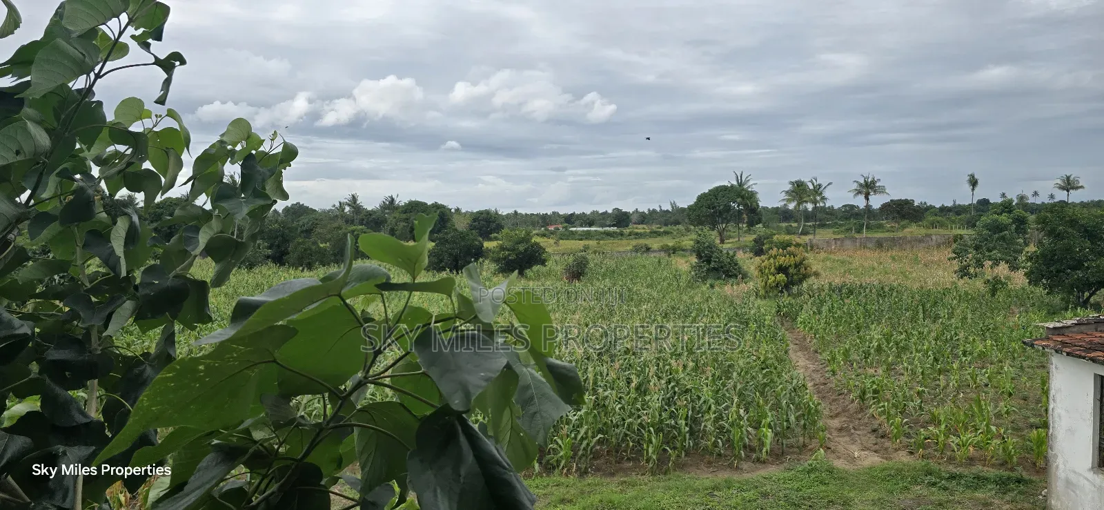 6-Acre Parcel for Sale – Bomani, Kilifi County in Kikambala