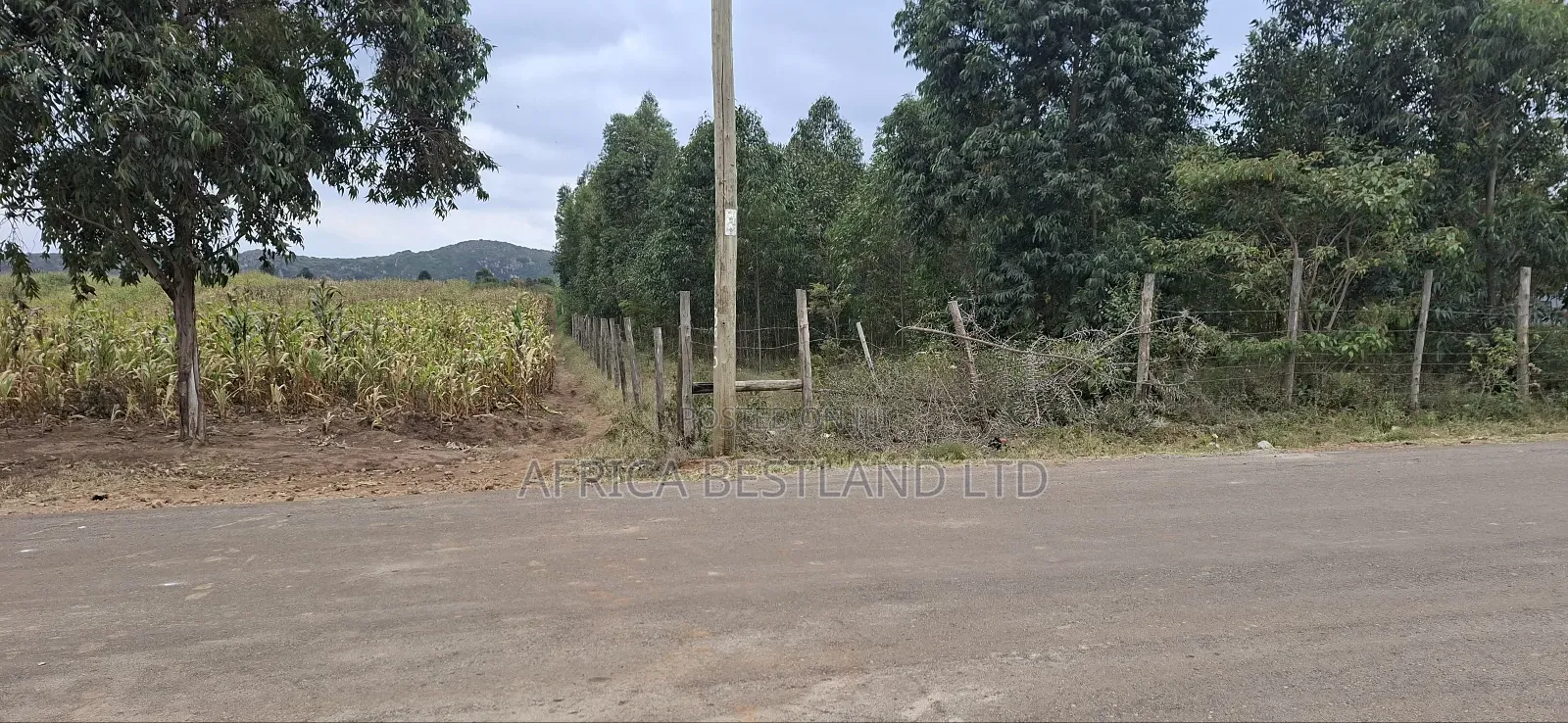 2 Acres Available Land for Sale in Thigio in Kikuyu