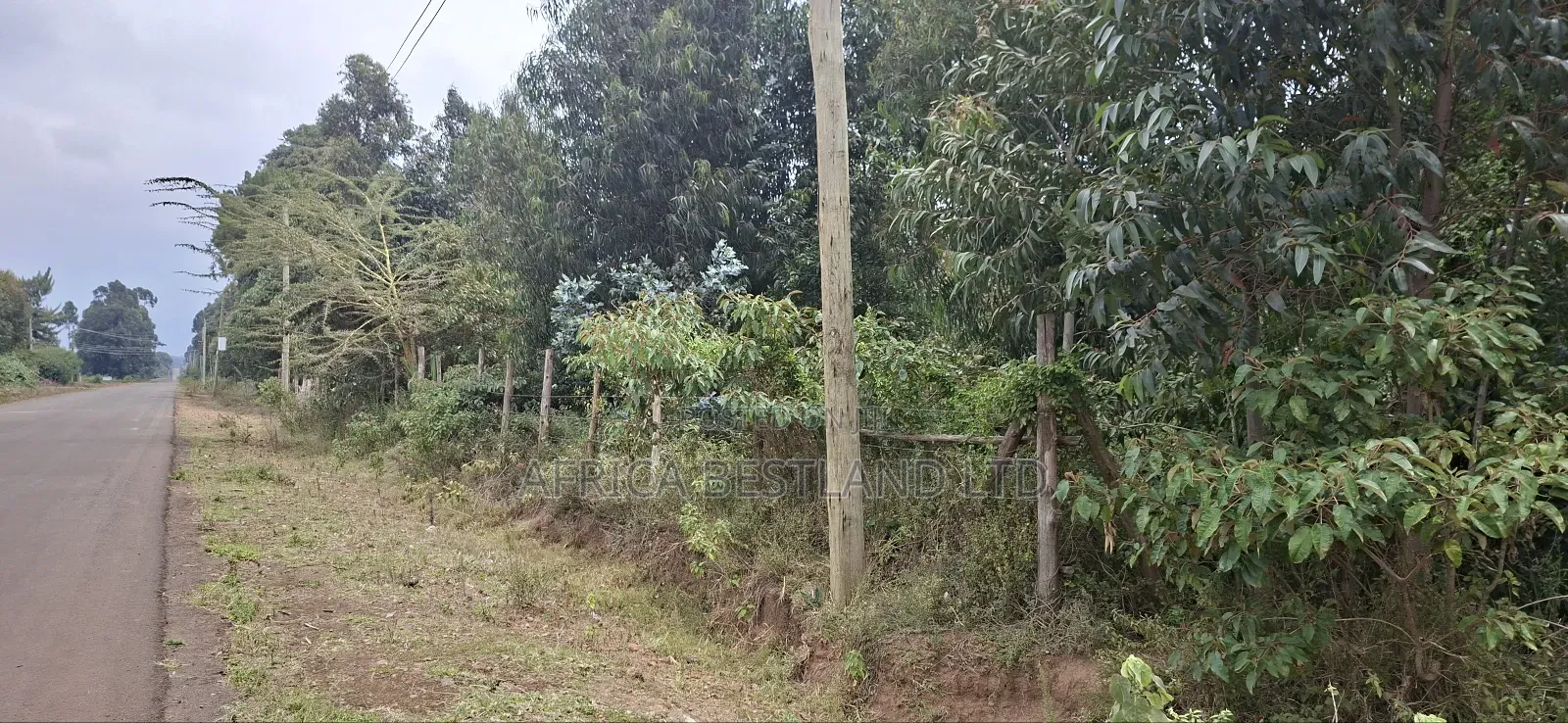 2 Acres Available Land for Sale in Thigio in Kikuyu