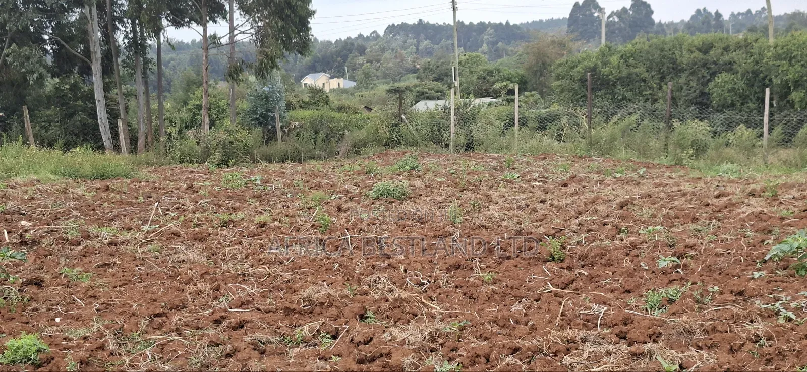2 Acres Available Land for Sale in Thigio in Kikuyu
