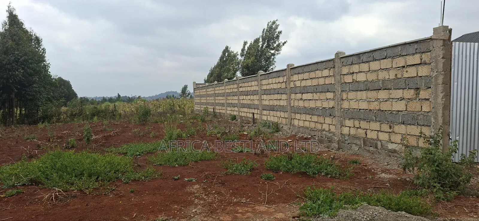 50x100 Available Plot for Sale in Kikuyu Thigio in Kikuyu